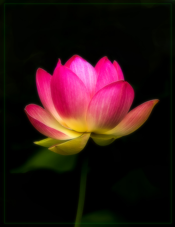 20120724_2531-3.jpg