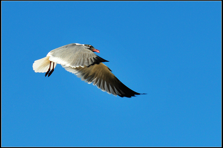 DSC_9447.JPG