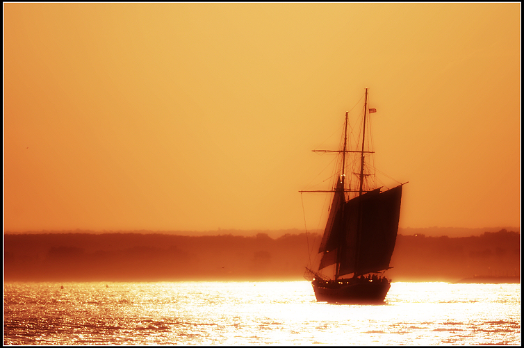 DSC_6860.JPG