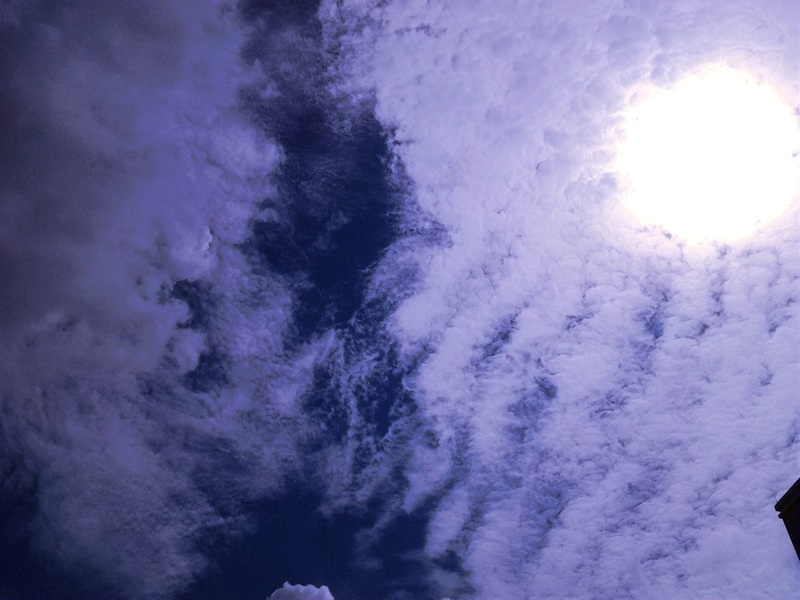 20130604_095812.jpg