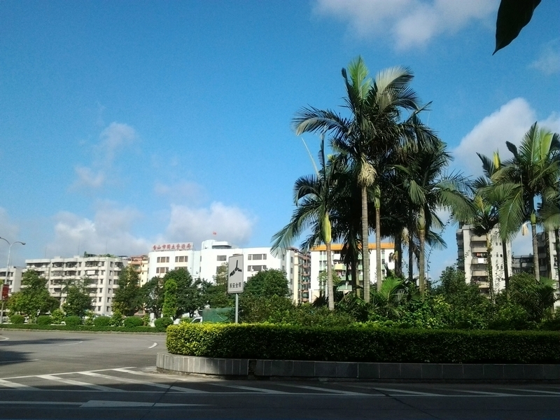 20130602_084033.jpg