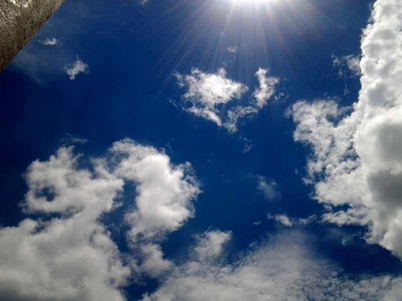 20130604_113549.jpg