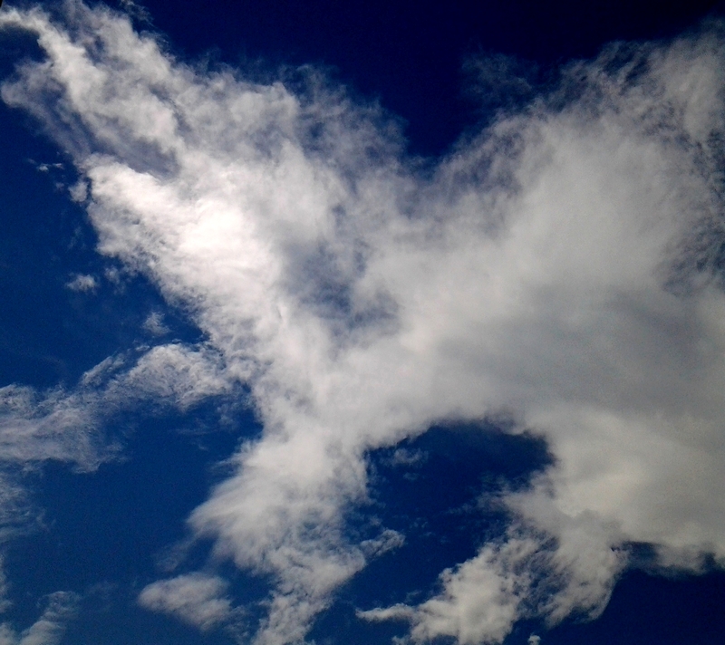 20130529_135452.jpg