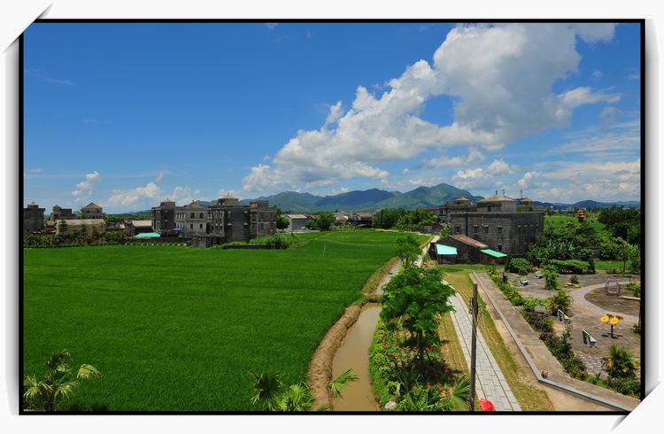 DSC_5345.jpg