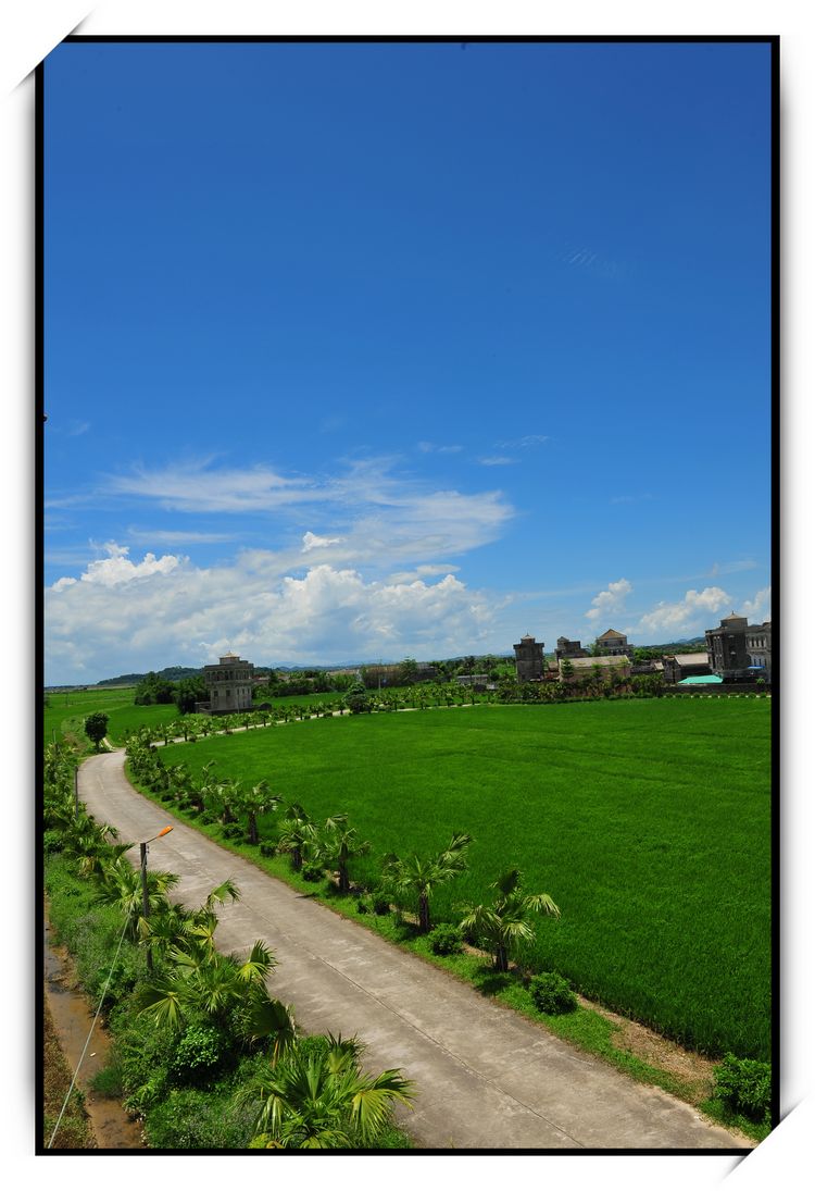 DSC_5349.jpg