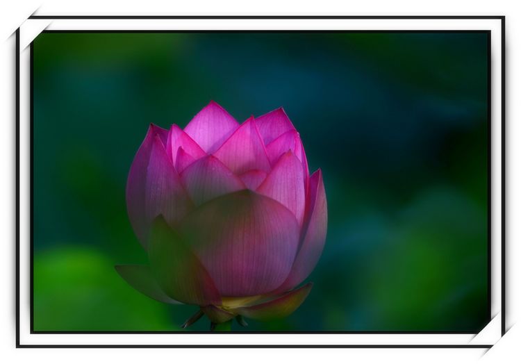 DSC_5007.jpg