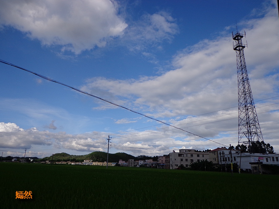 DSC02771.JPG