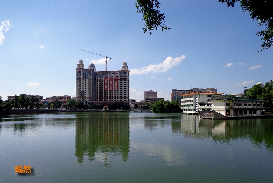 DSC02540.JPG