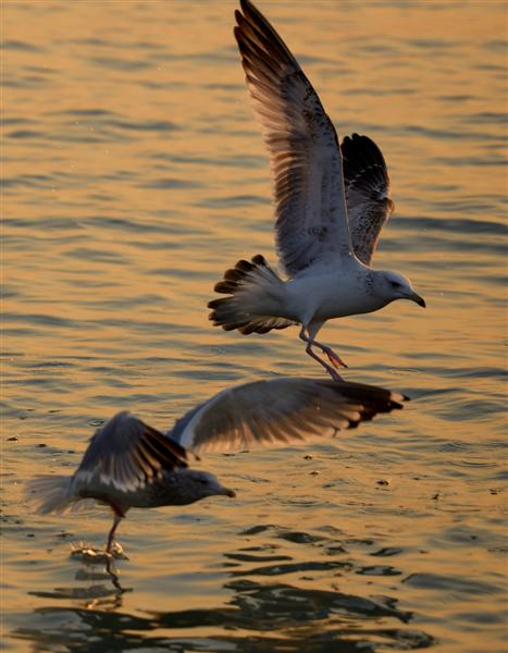 8d5494eef01f3a299e0602a49825bc315d607c8a (Զ).jpg