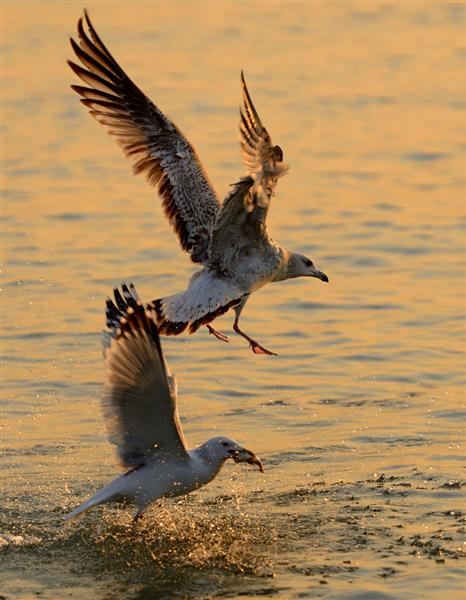 7aec54e736d12f2e2644790a4ec2d56285356813 (Զ).jpg