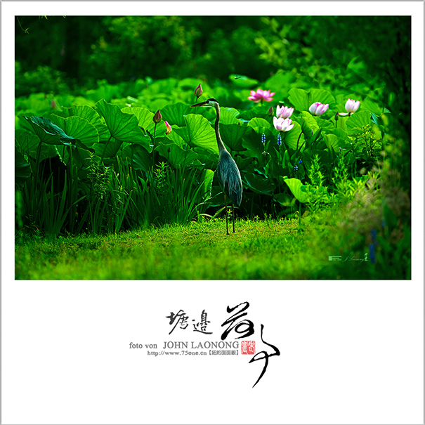 f751DSD_7292.jpg