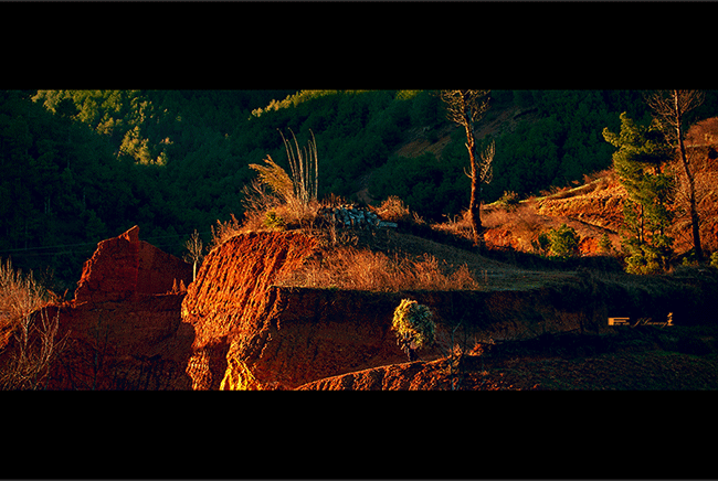 fDSD_5353-a.gif