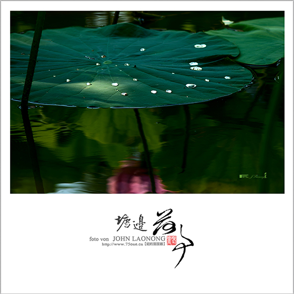 f751DSD_8276 as.jpg