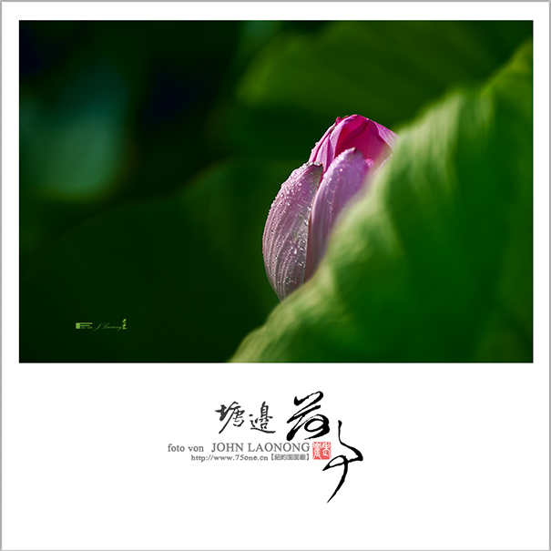 f751DSD_7171.jpg