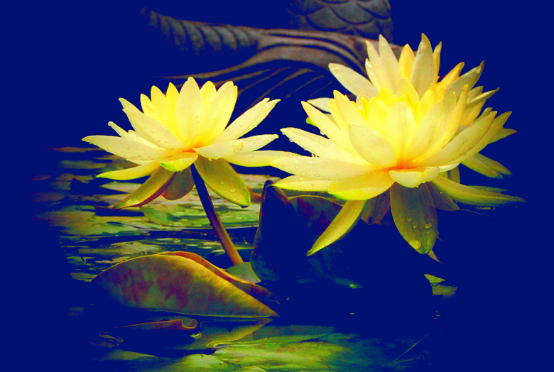 2_6137_ec0b527f846e032_conew23.png