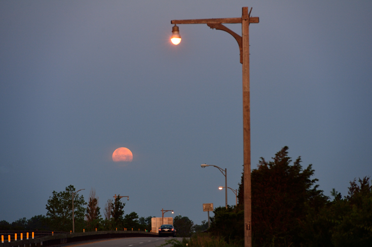 DSC_7938.jpg