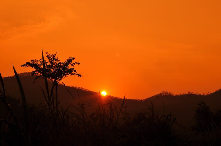 DSC_3361.jpg
