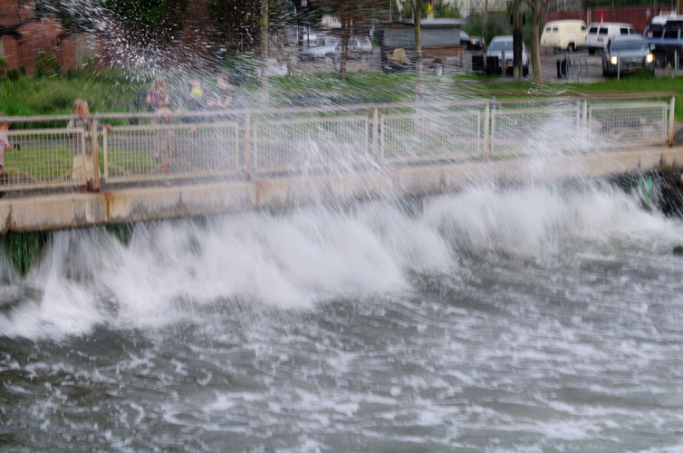 DSC_6518.jpg