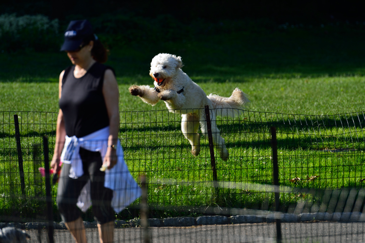 DSC_9644.jpg