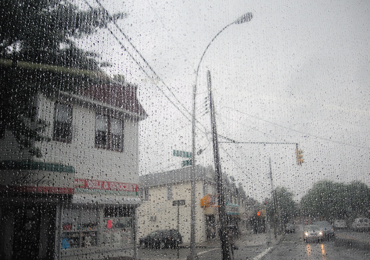 DSCN0203.jpg