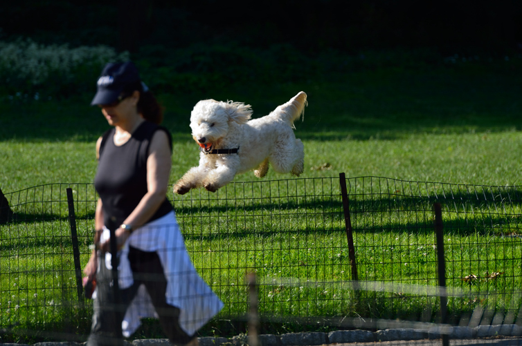 DSC_9646.jpg