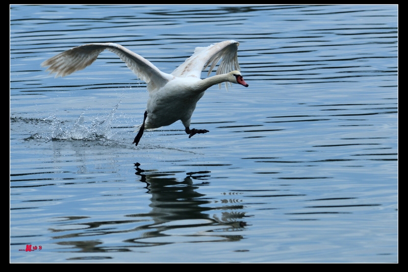 DSC_9205.jpg
