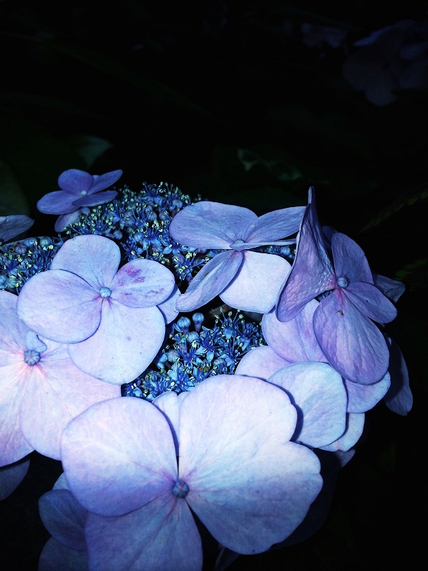 20130629_185454_conew1.jpg