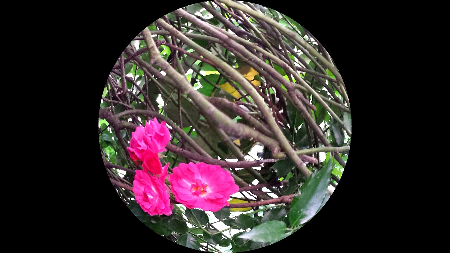 20130614_143727.jpg