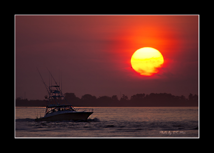 DSC_7746C.jpg