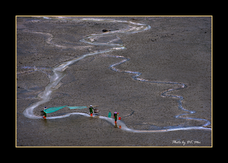 DSC_0096C.jpg
