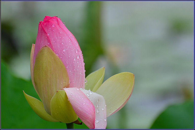 DSC_8314.jpg