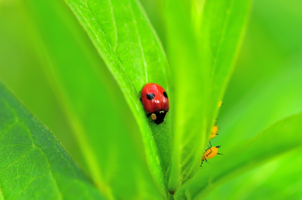 DSC_5873.JPG