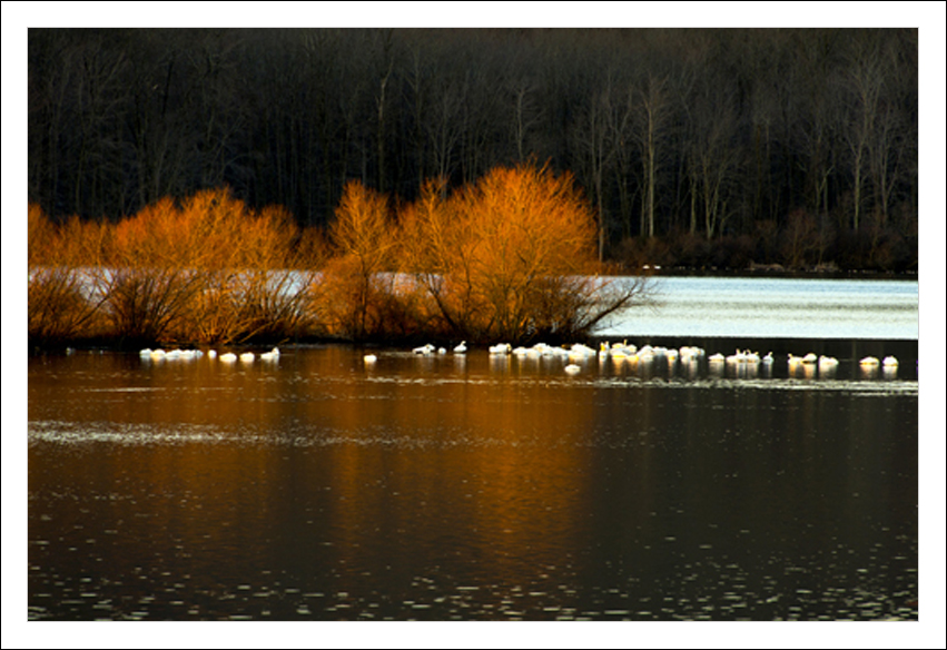 _DSC3021.jpg