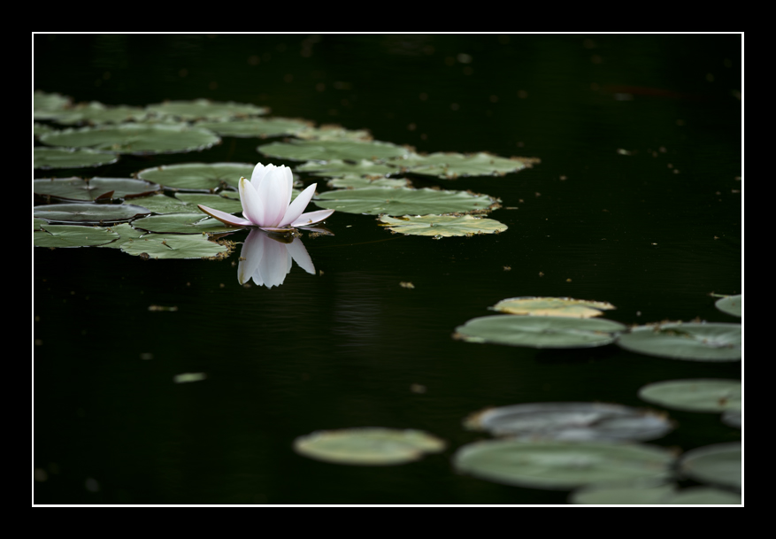 _DSC8913.jpg
