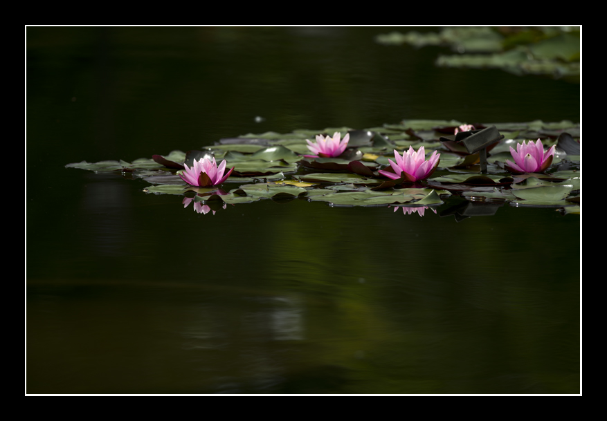 _DSC8881.jpg