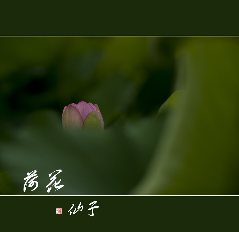 _DSC0413.jpg