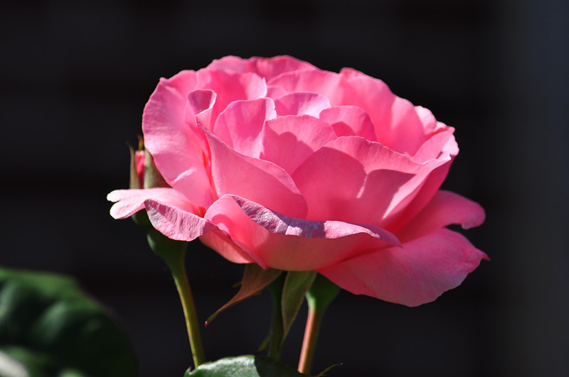 DSC_0770_.jpg