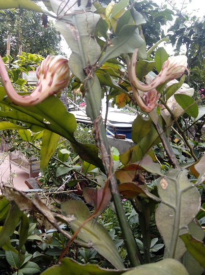 QQͼ20130614134819.png