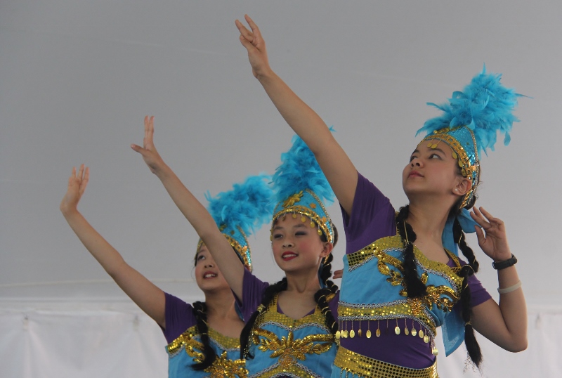 D 656 (800x538).jpg