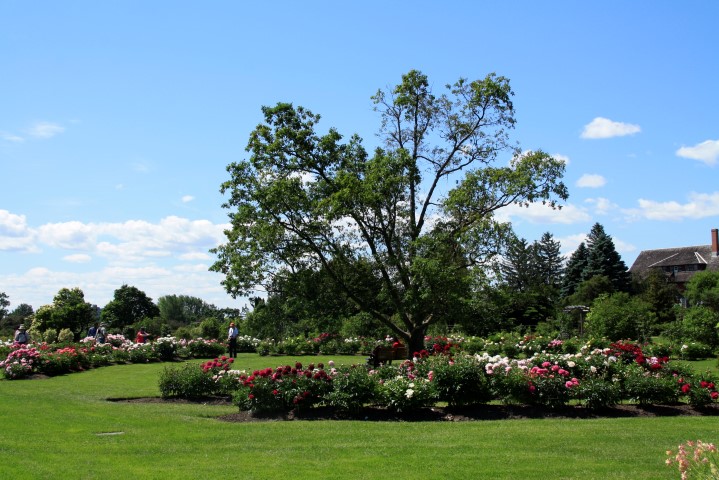 _MG_8076 (Small).JPG