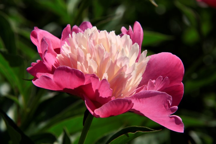 _MG_8057 (Small).JPG