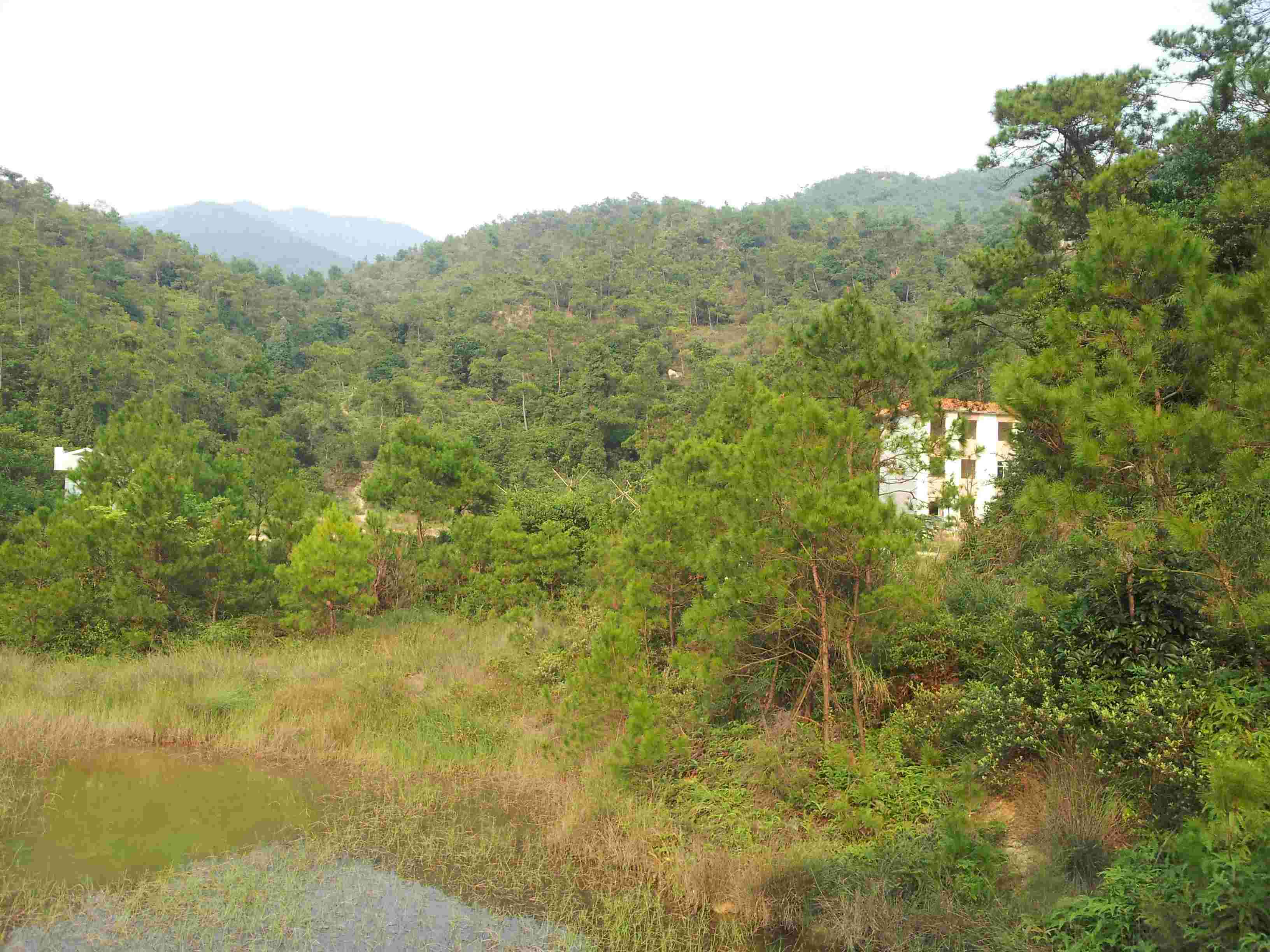 20121006_163842.jpg