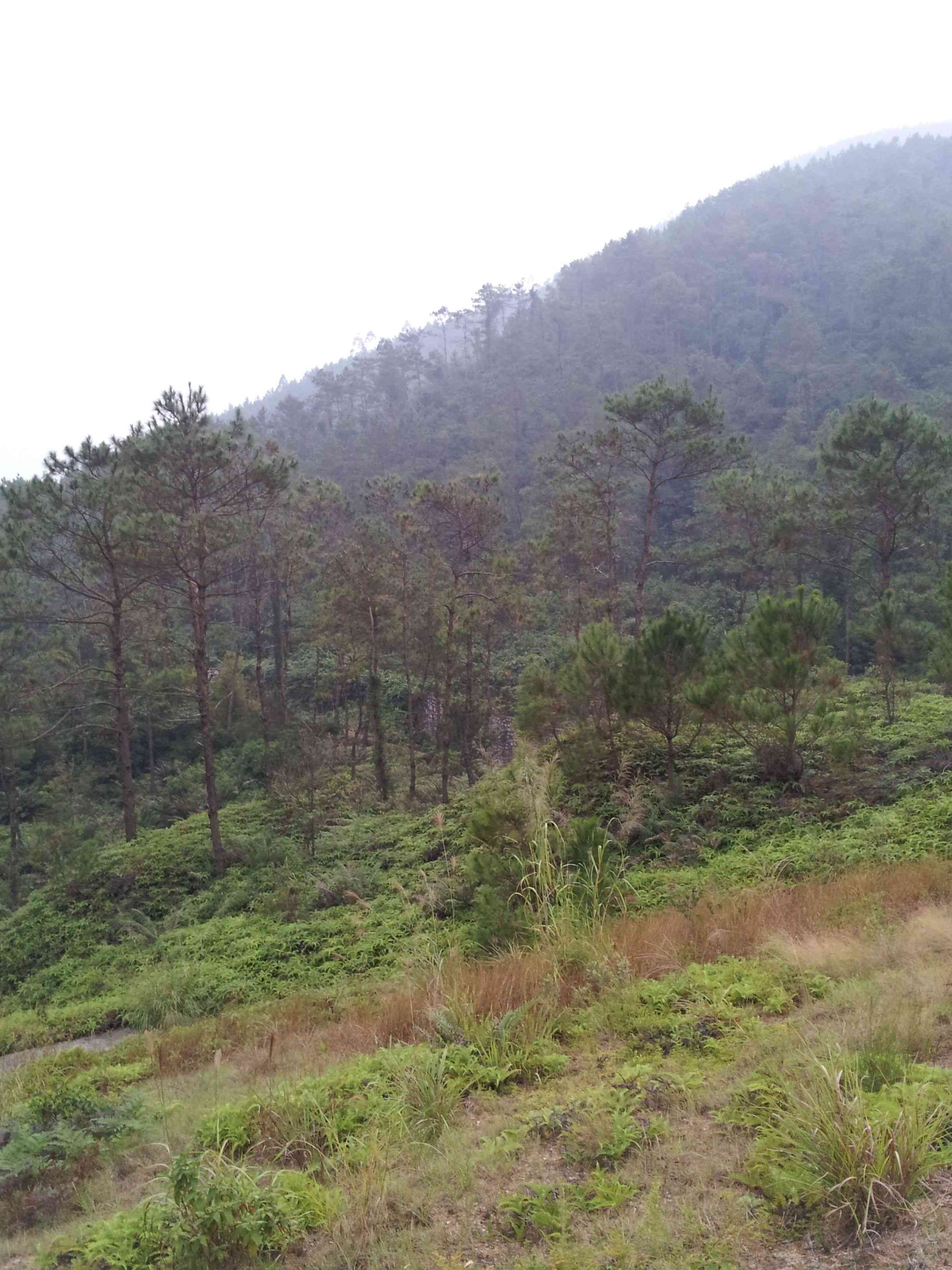 20121027_162025.jpg