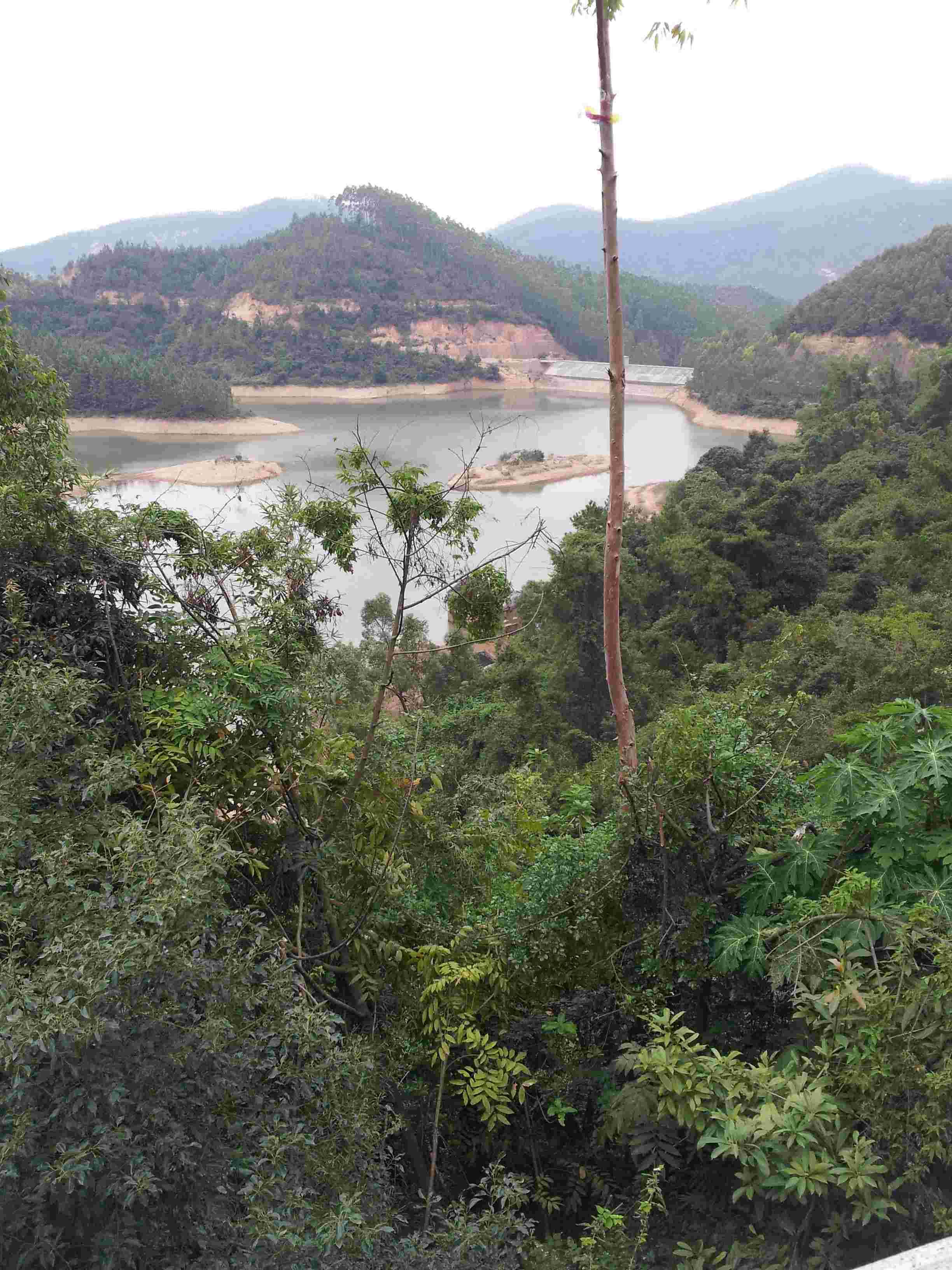 20121028_141848.jpg