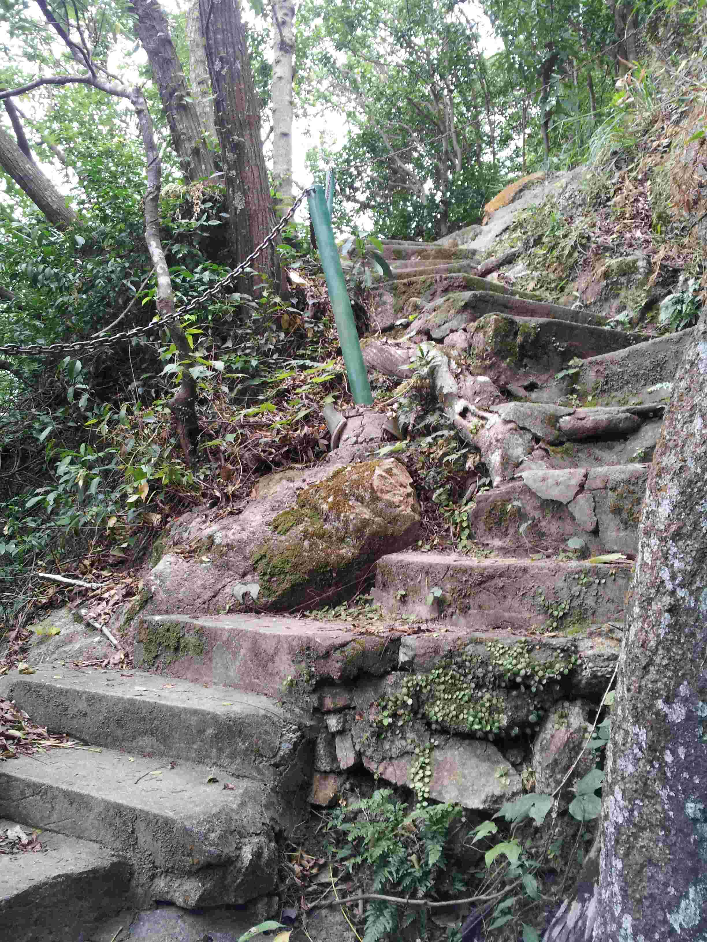 20121028_151208.jpg