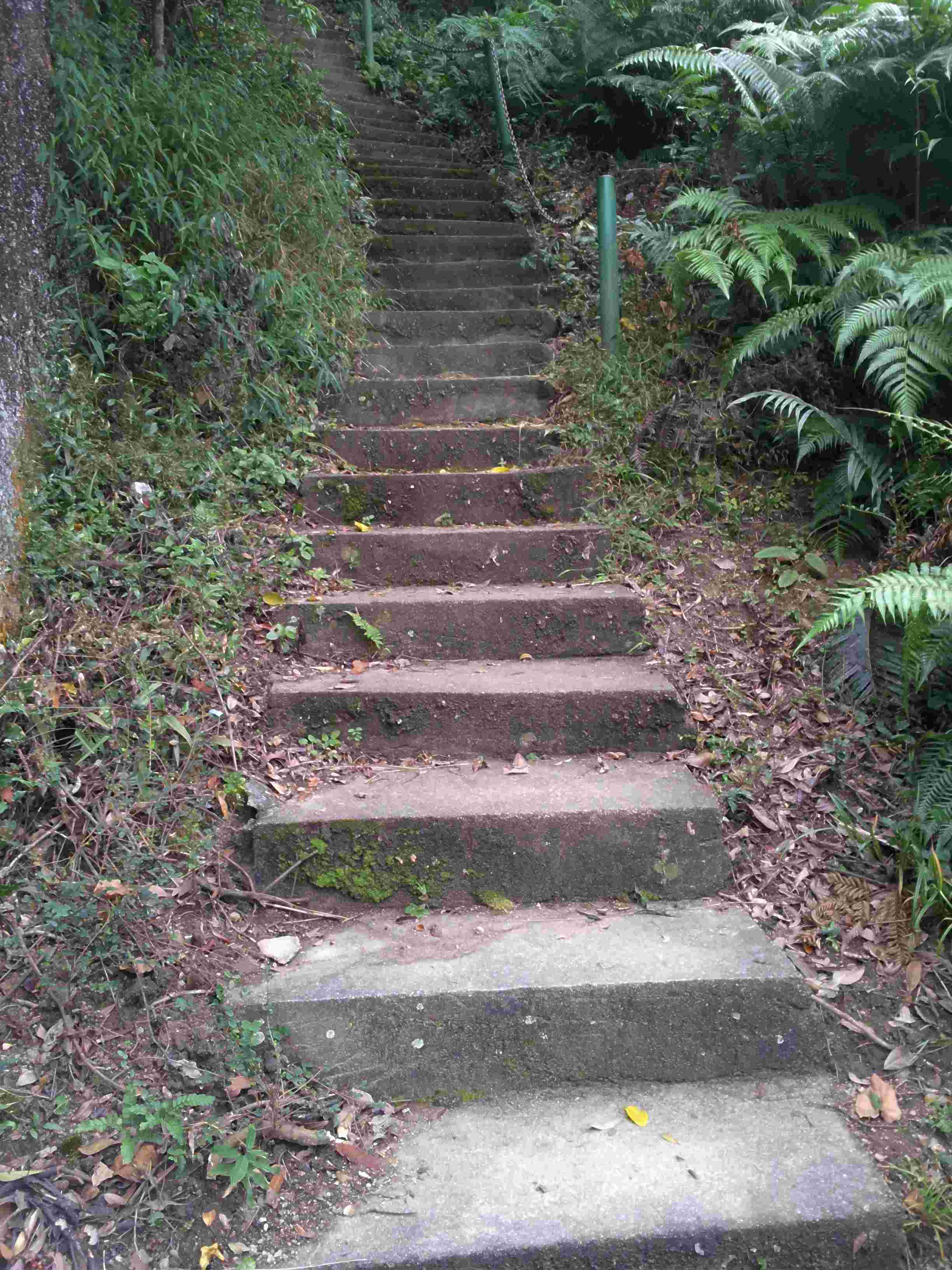 20121028_151556.jpg
