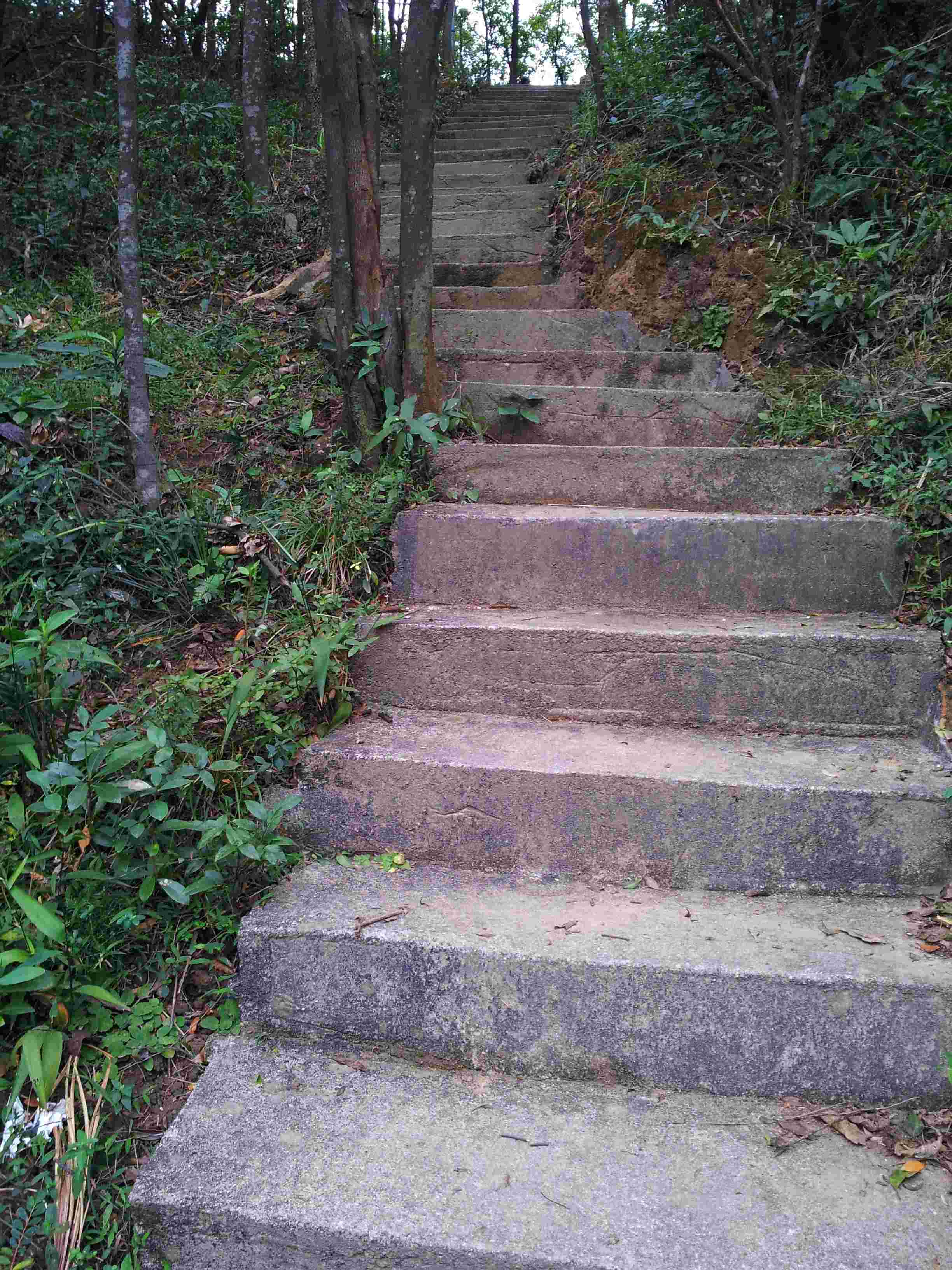20121028_151923.jpg