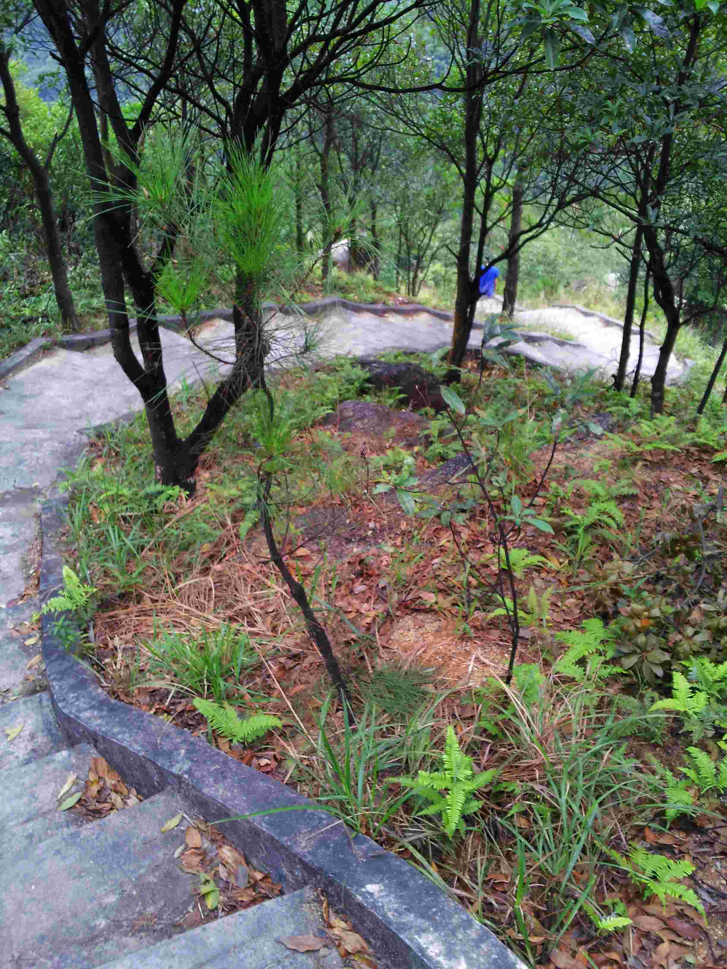20121028_161915.jpg