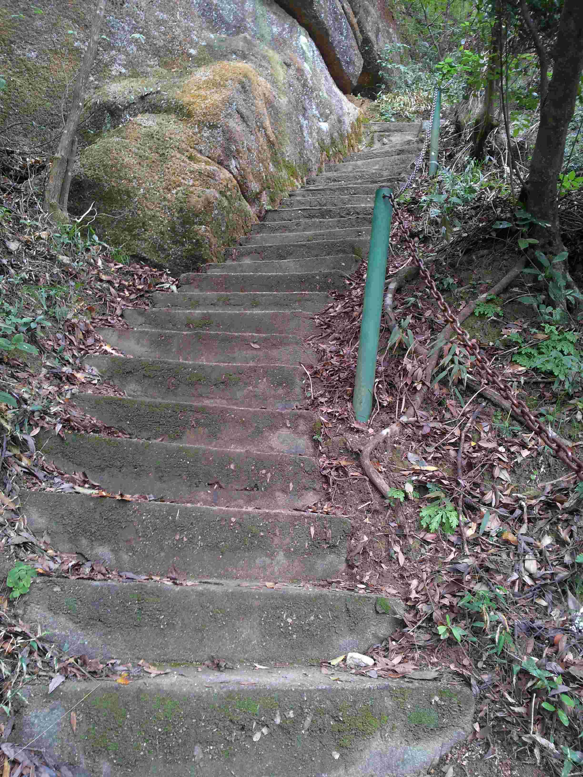 20121028_151712.jpg