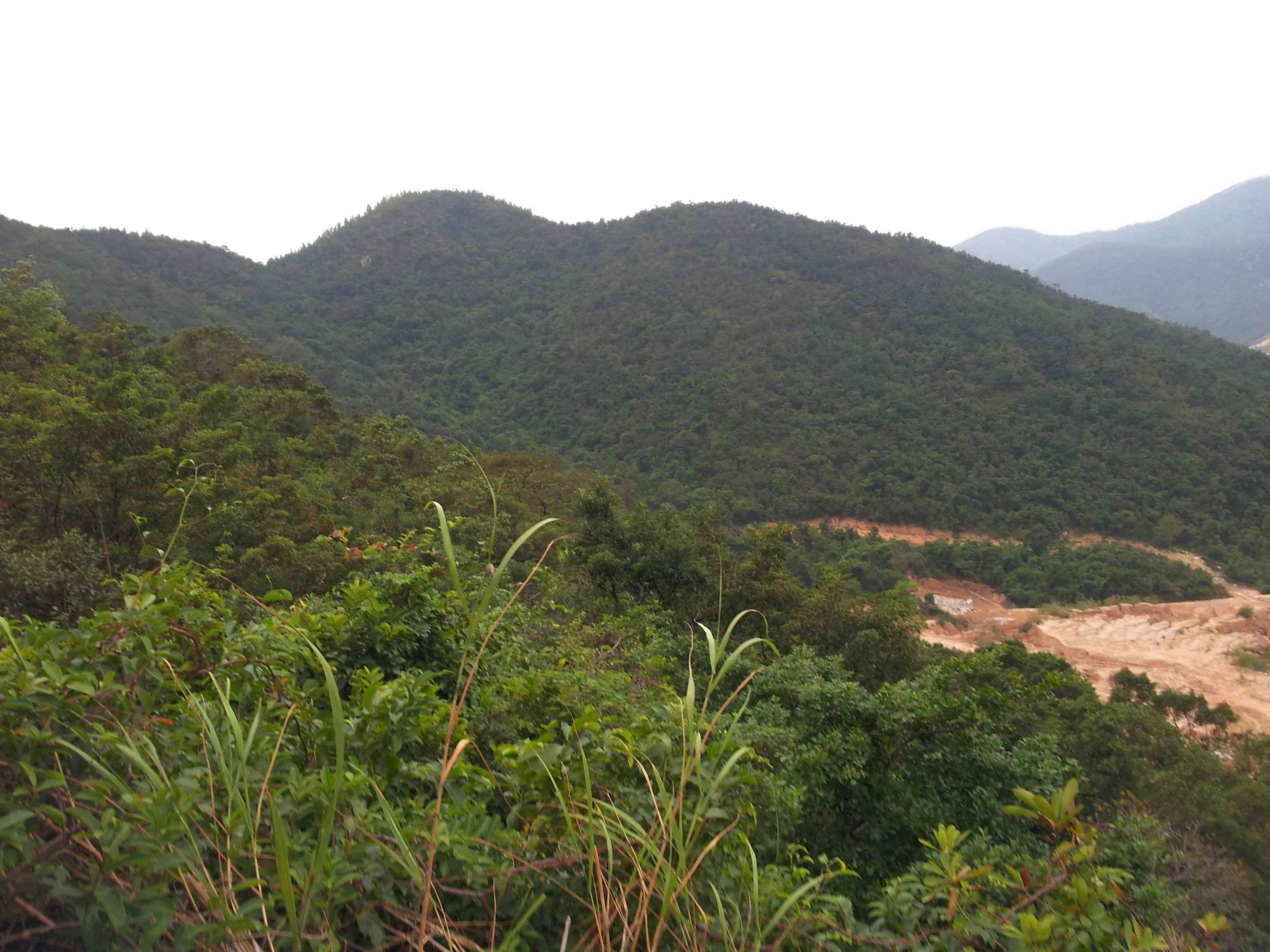20121028_145232.jpg